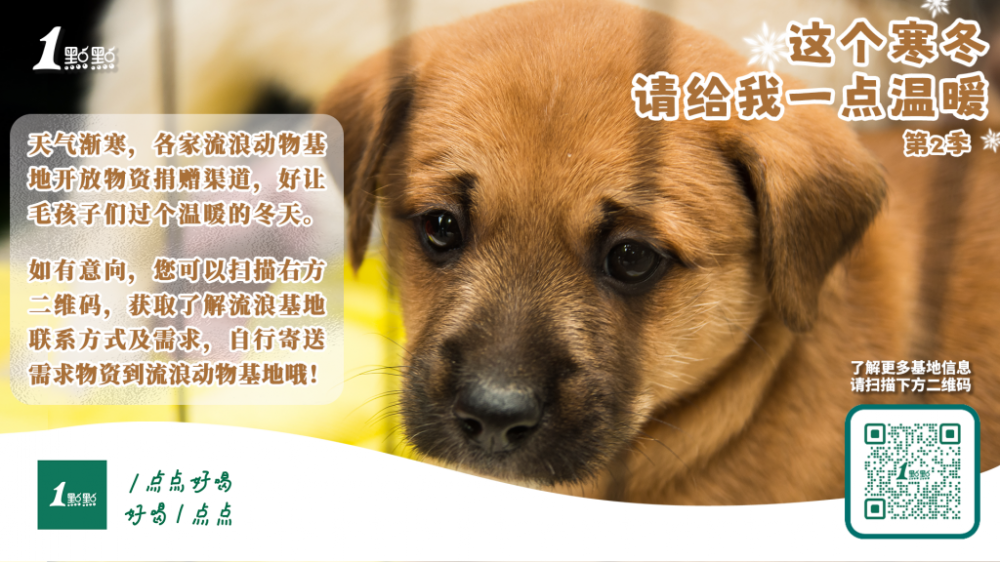 总码 总码
