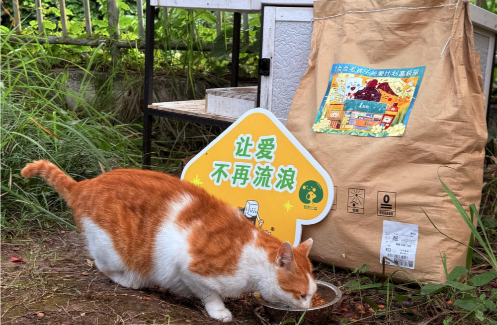 6.3吨暑期安心粮,送达114所高校