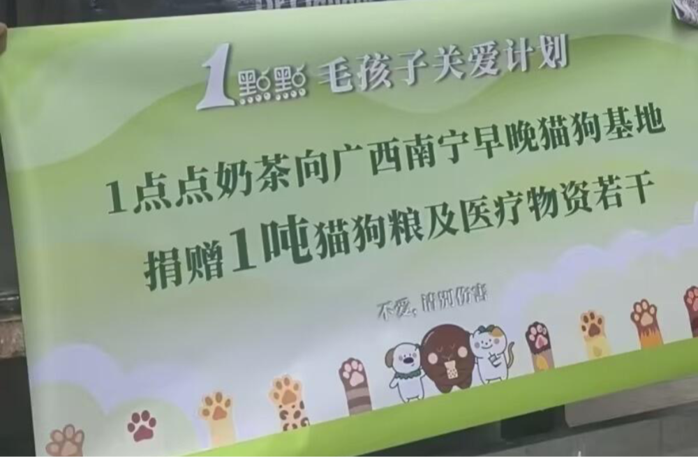 1 点点驰援广西洪灾毛孩子基地物资已出