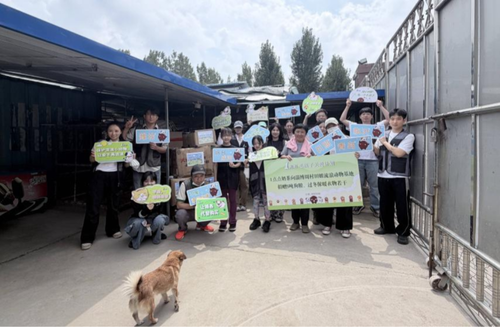 善意滚烫｜奔赴一场和毛孩子的温暖之约